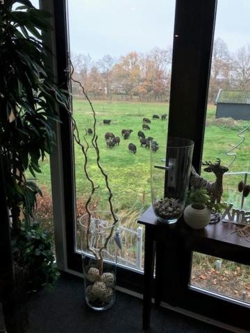 Boutique Hotel En B&B De Zwammenberg De Moer Dış mekan fotoğraf